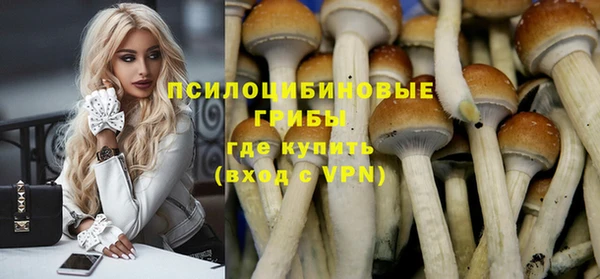 бошки Краснотурьинск
