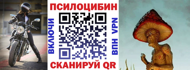 Купить закладки  Билибино  Галлюциногенные грибы прущие грибы 